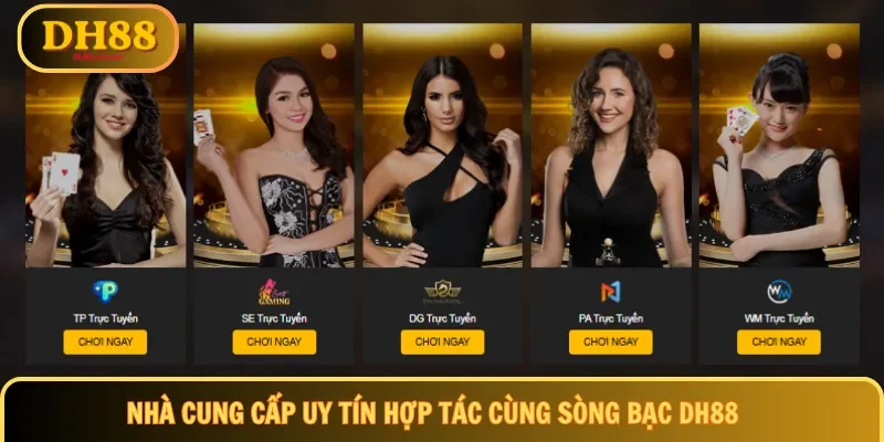 Nhà cung cấp uy tín hợp tác cùng sòng bạc DH88