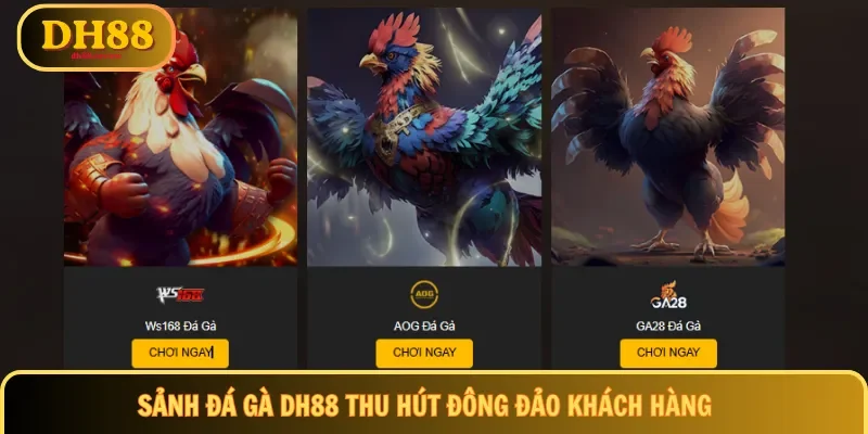 Sảnh đá gà DH88 thu hút đông đảo khách hàng